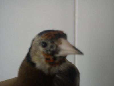 DSC00006_800x600.jpg