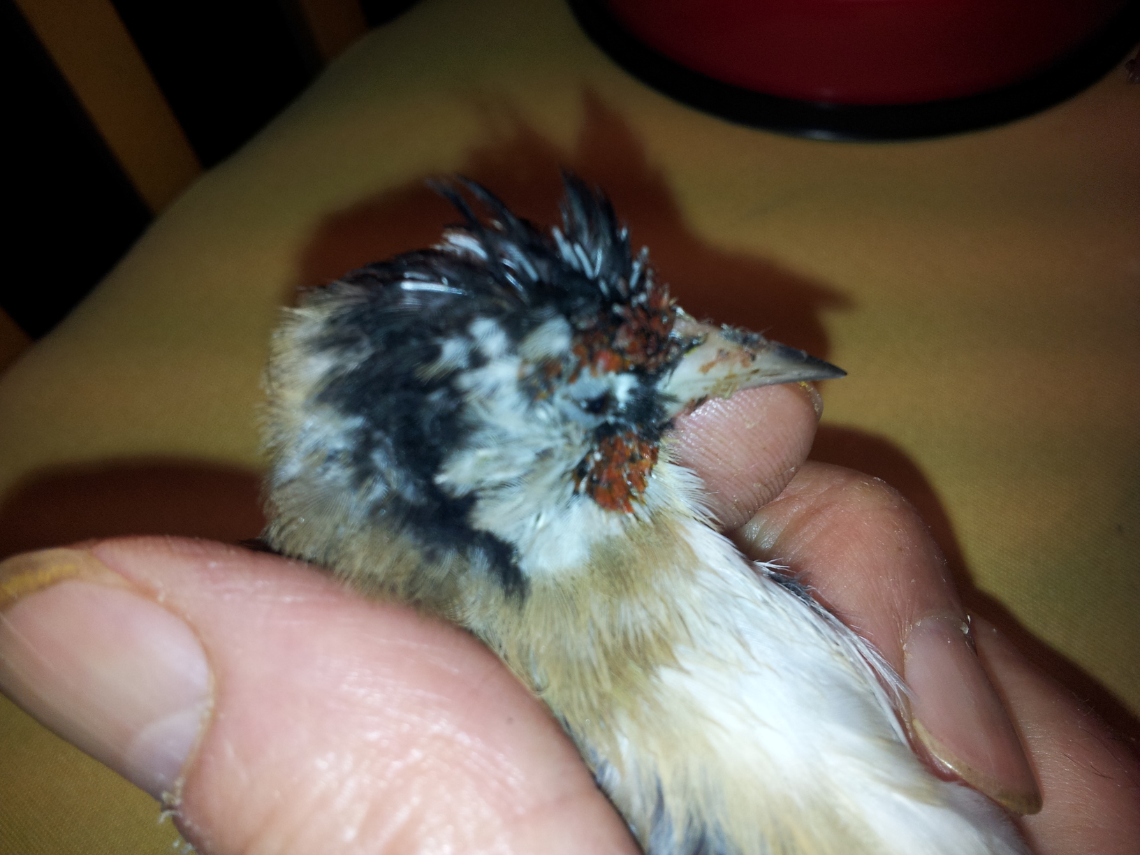 2011-11-05 14.28.57.jpg