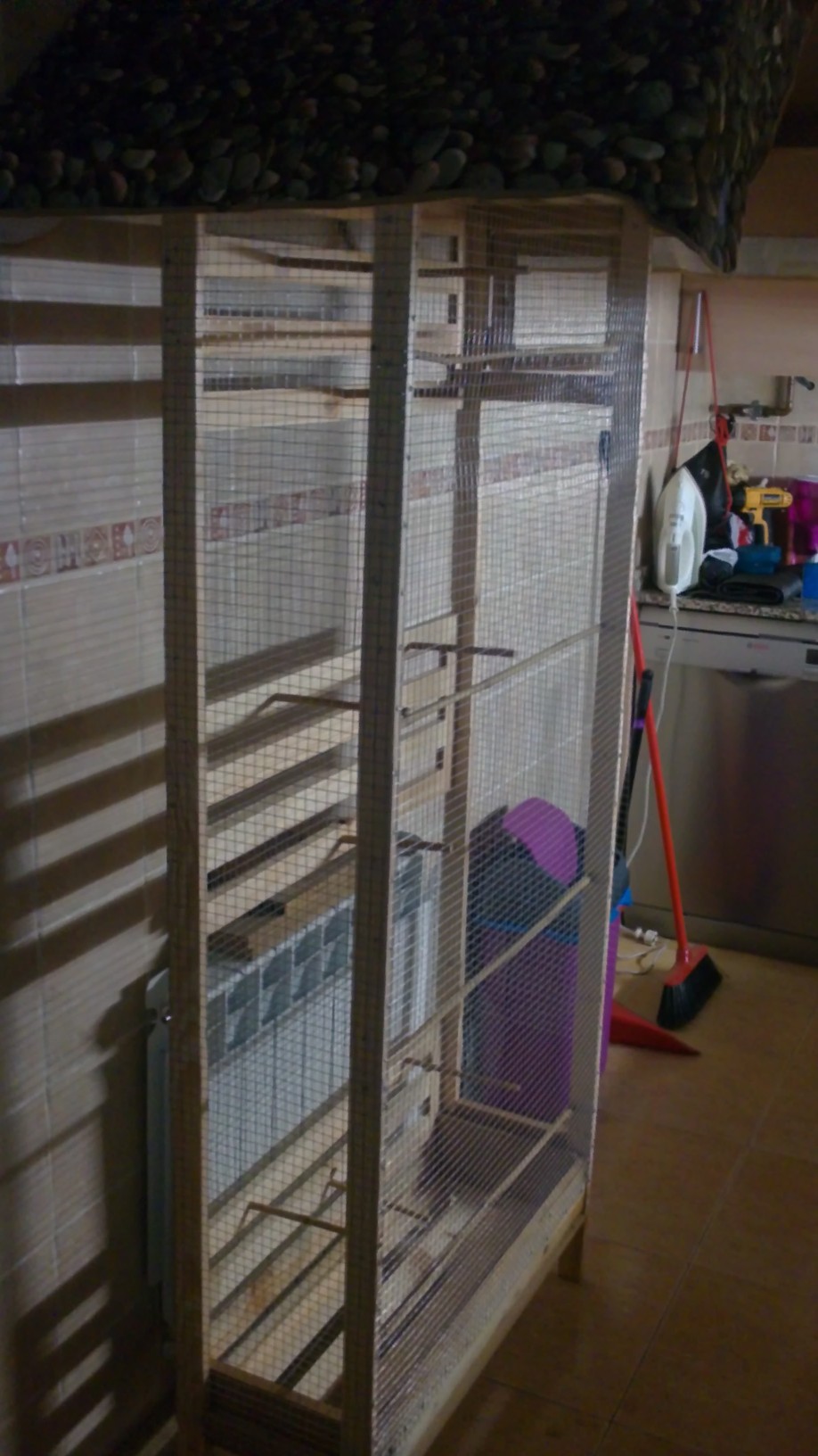 jaula 049.JPG
