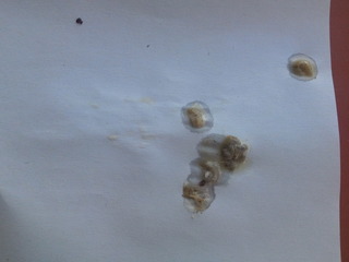 2011-11-09 13.42.06.jpg