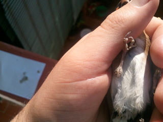 2011-11-09 13.43.00.jpg