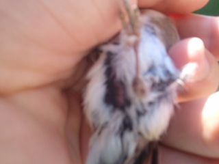 2011-11-09 13.43.46.jpg