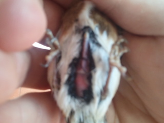 2011-11-09 14.52.20.jpg