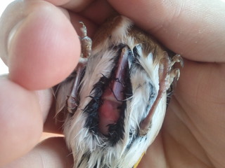 2011-11-09 14.52.25.jpg