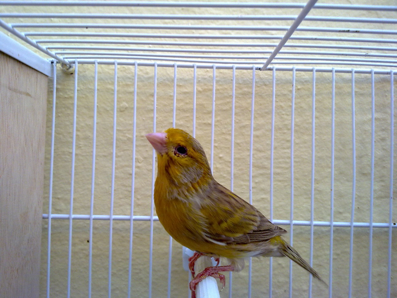 09112011194.jpg