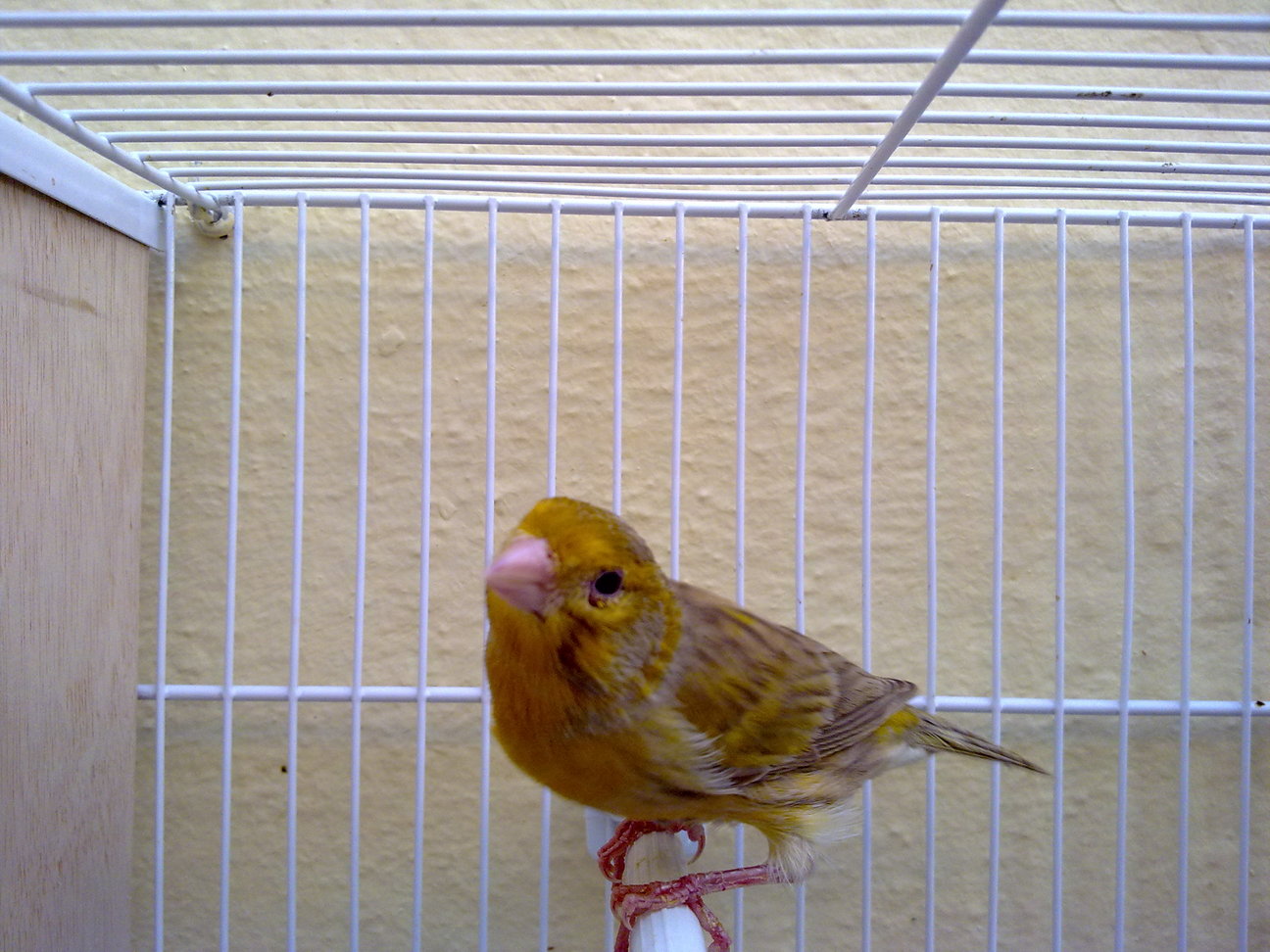 09112011191.jpg
