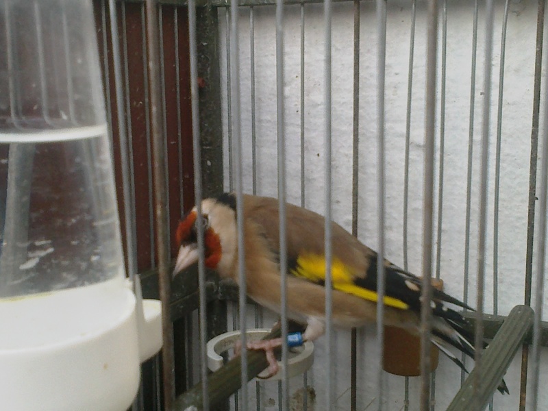 p5.jpg