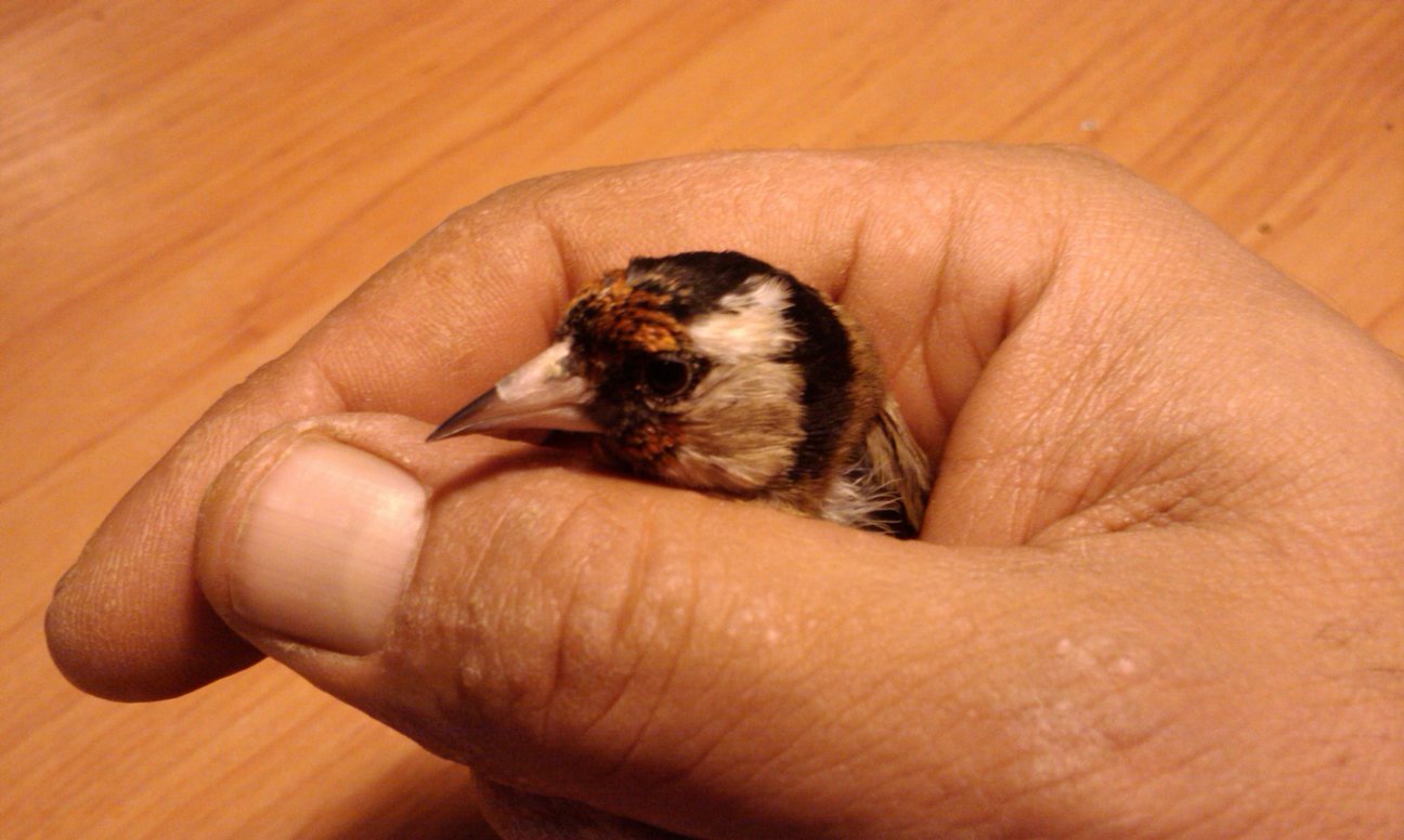 IMAG0082.jpg