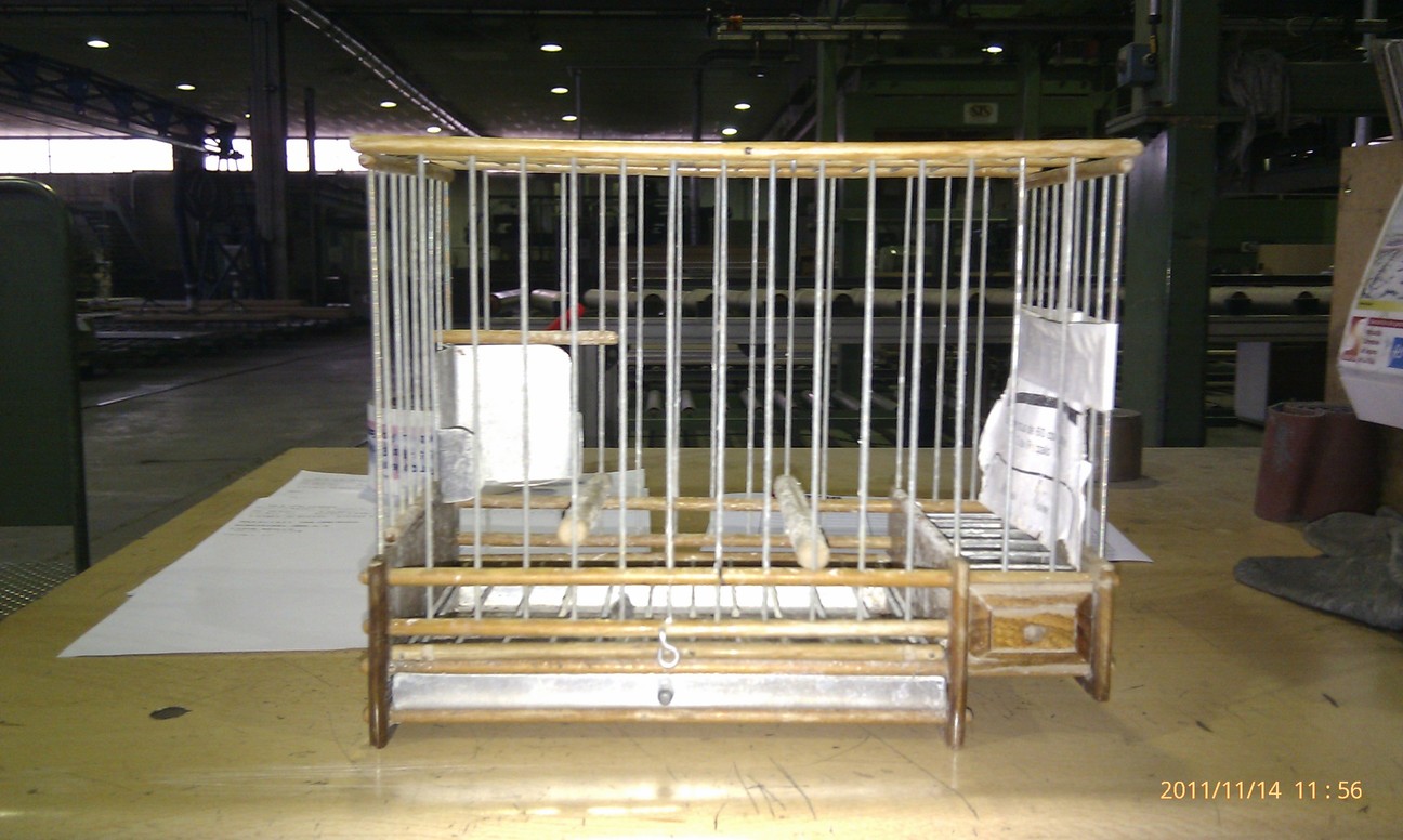 IMAG0085.jpg