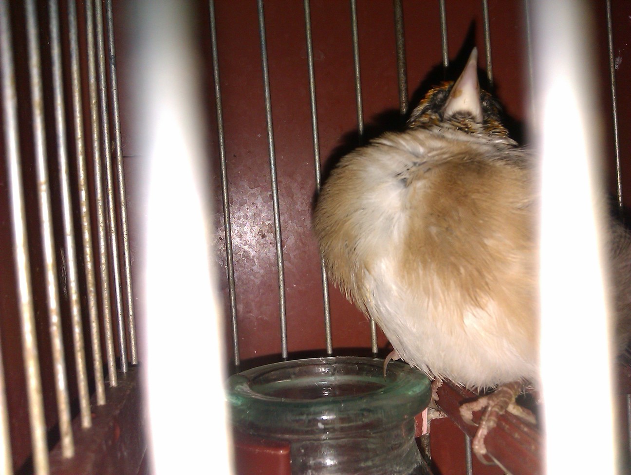 IMAG0388.jpg