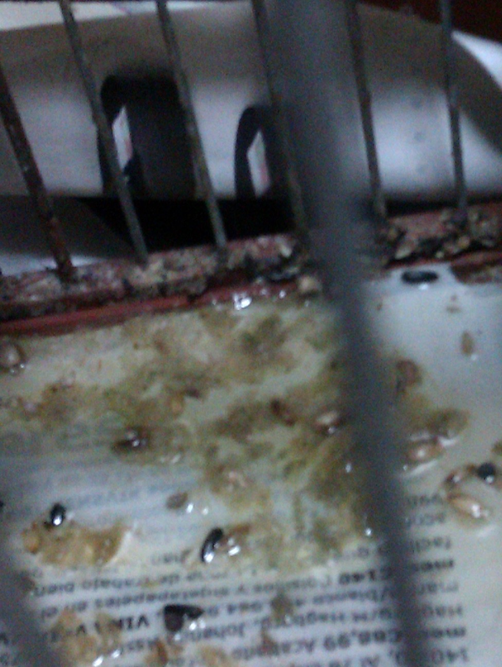 IMAG0385.jpg
