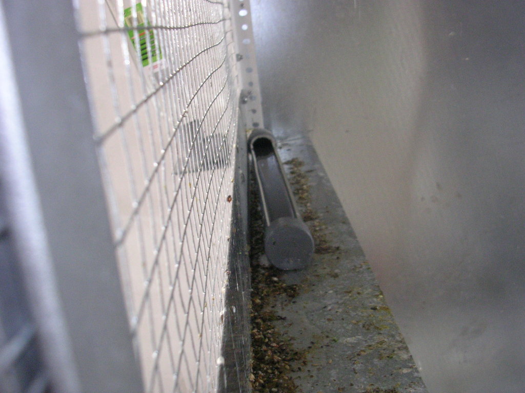 DSCN3733.JPG