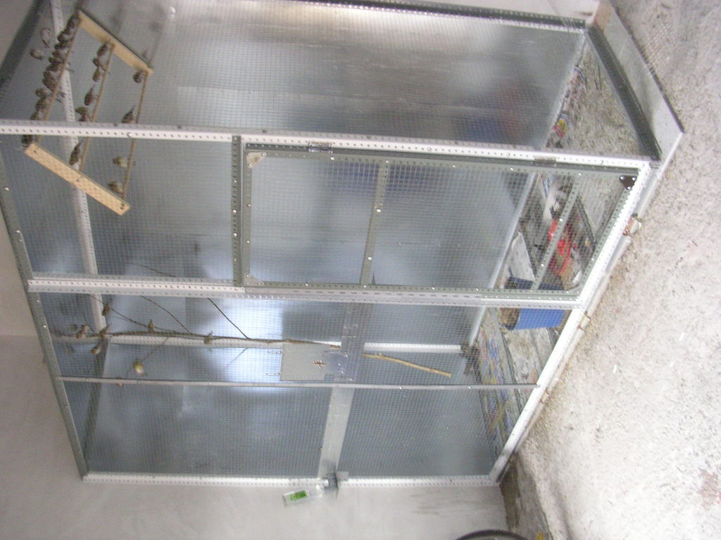 DSCN3734.JPG