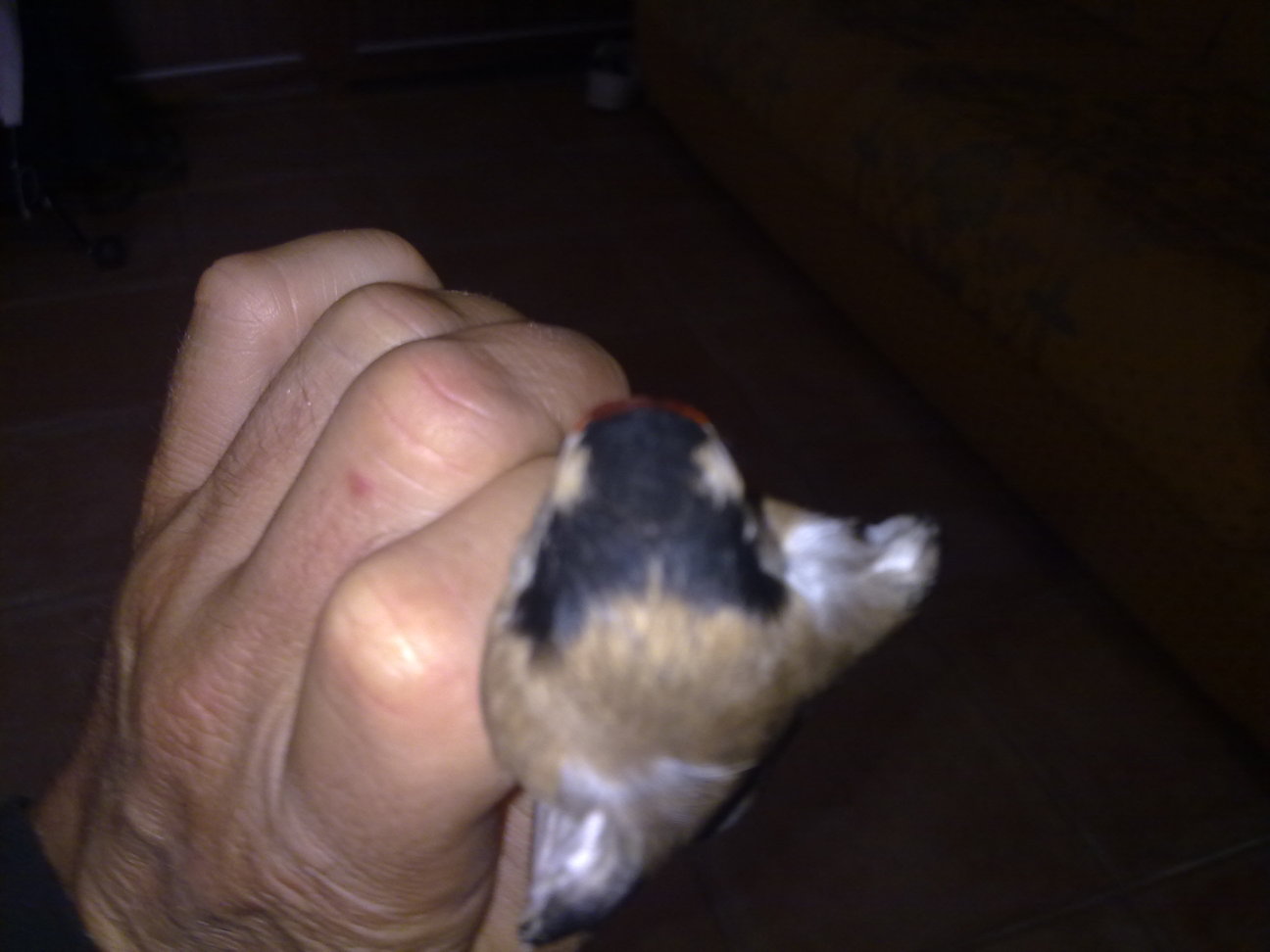 21112011205.jpg