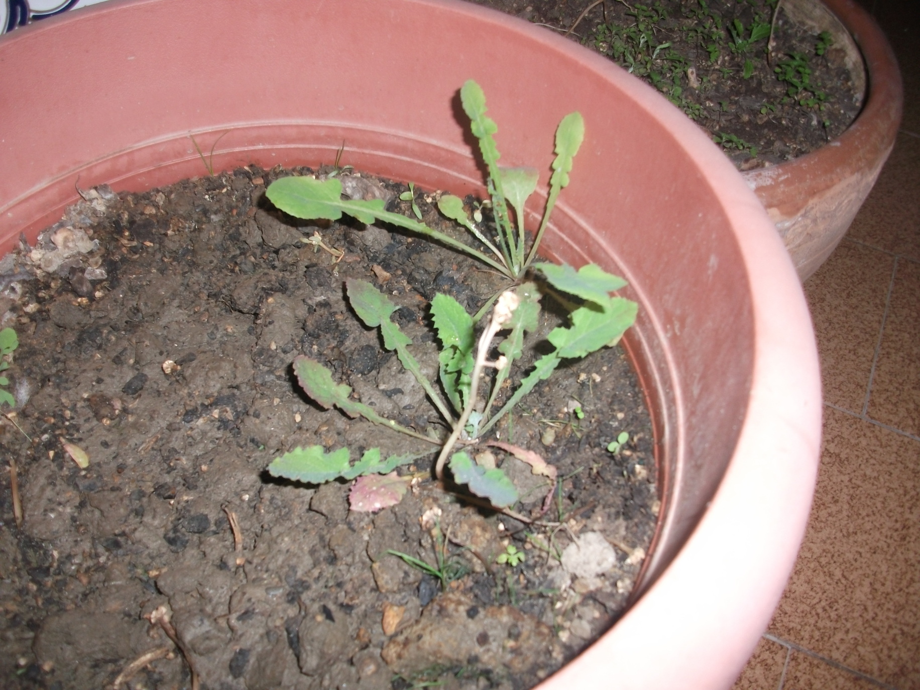DSCF2201.JPG