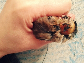 20111124134349.jpg
