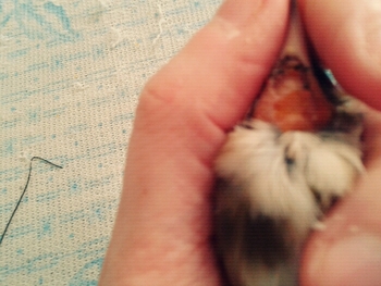20111124155805.jpg