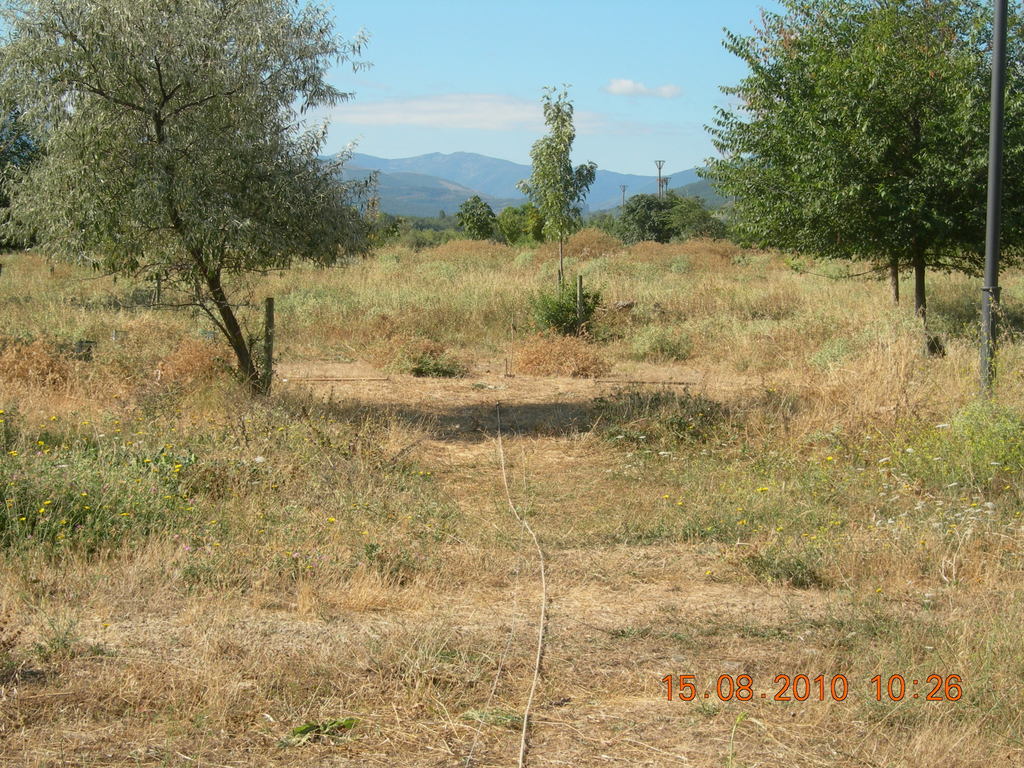 DSCN6870.JPG.jpg