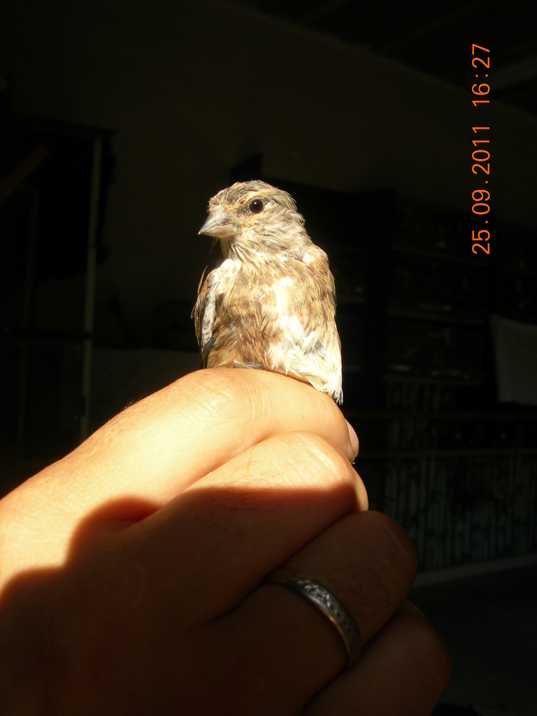 DSCN7580.JPG