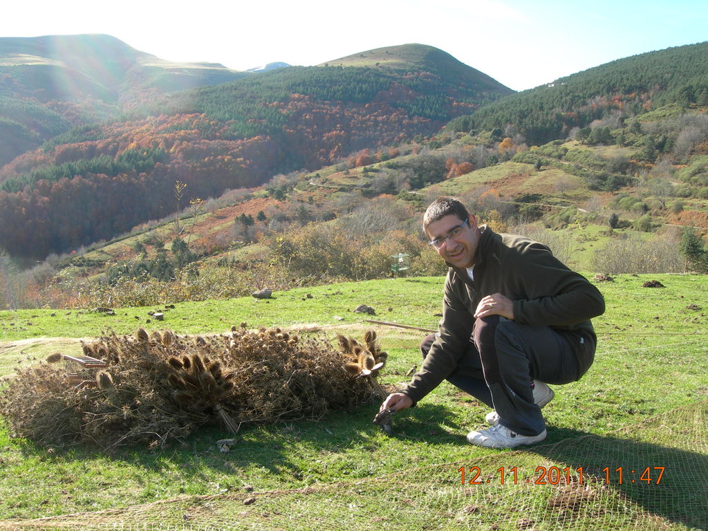 DSCN7736.JPG