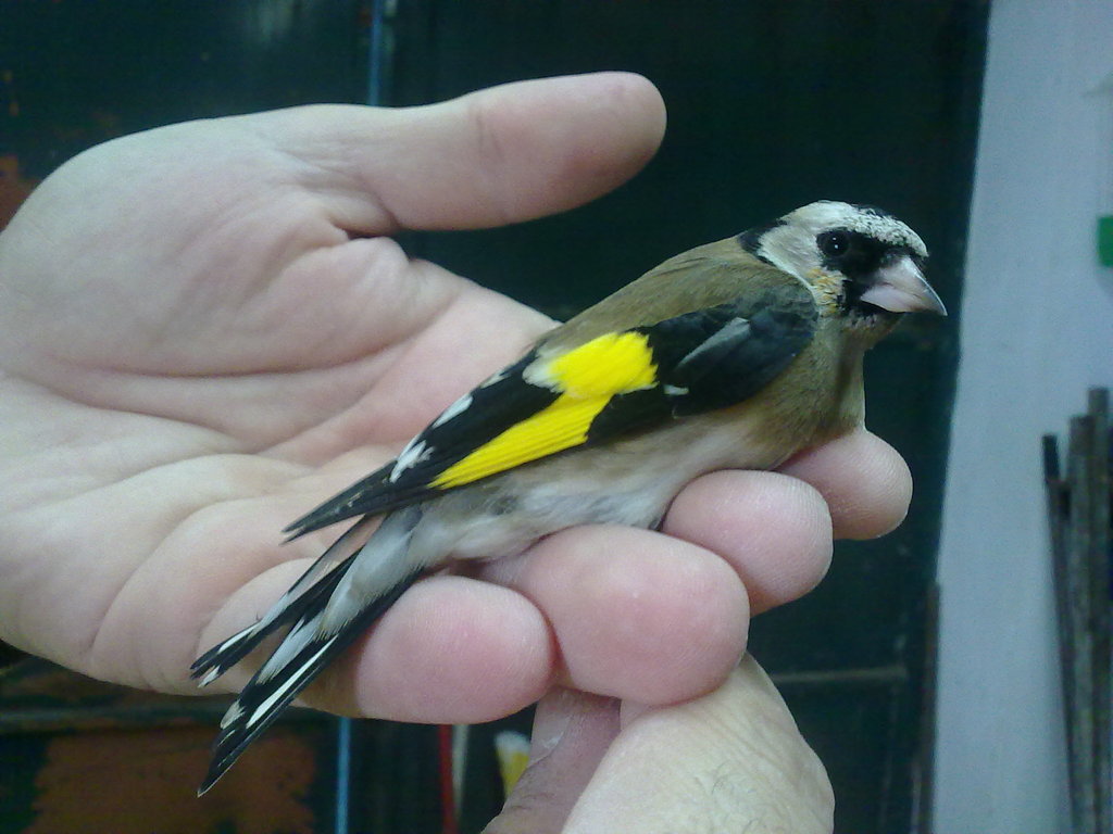 17112010750.jpg
