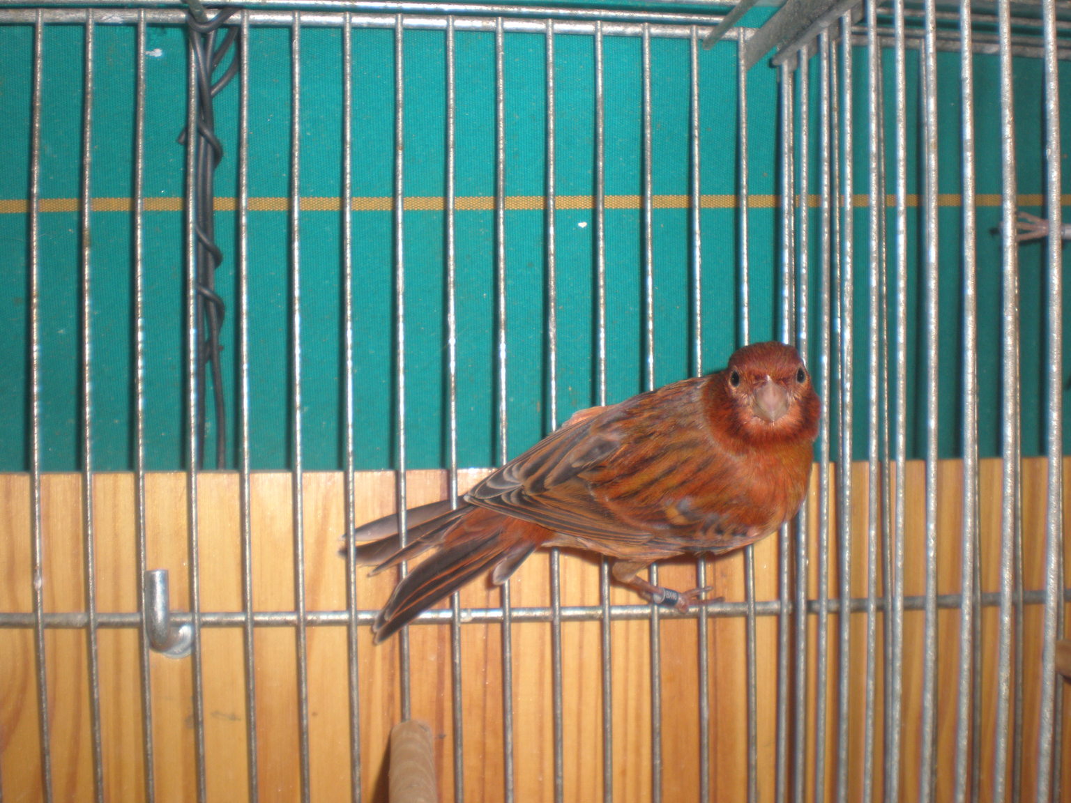 PB291310.JPG