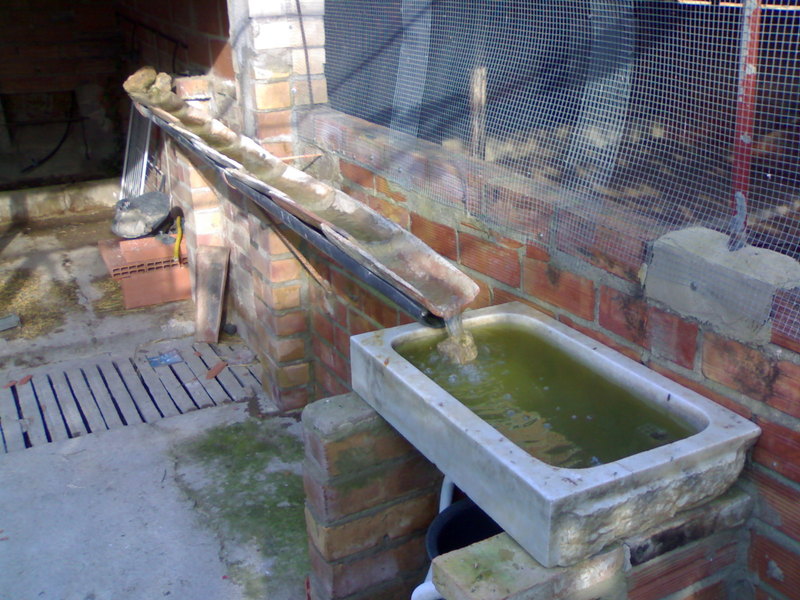 02122011057.jpg