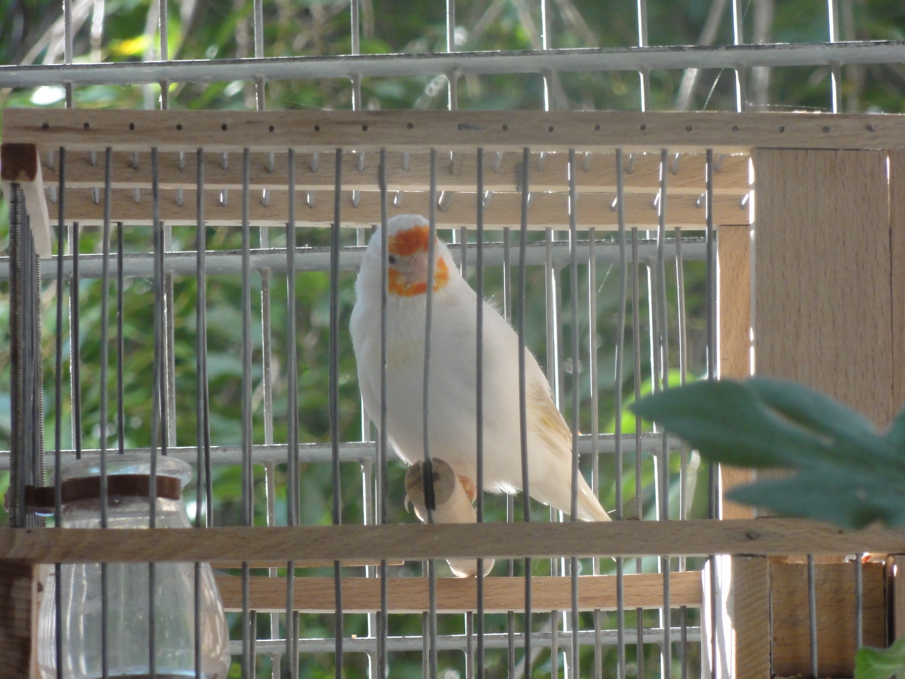 DSC00870.JPG