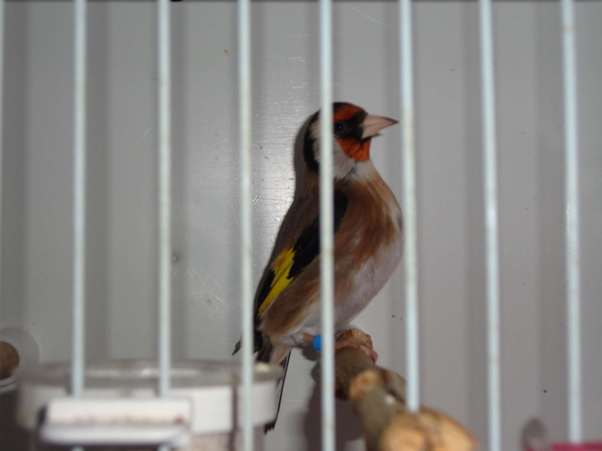 DSC00084.jpg