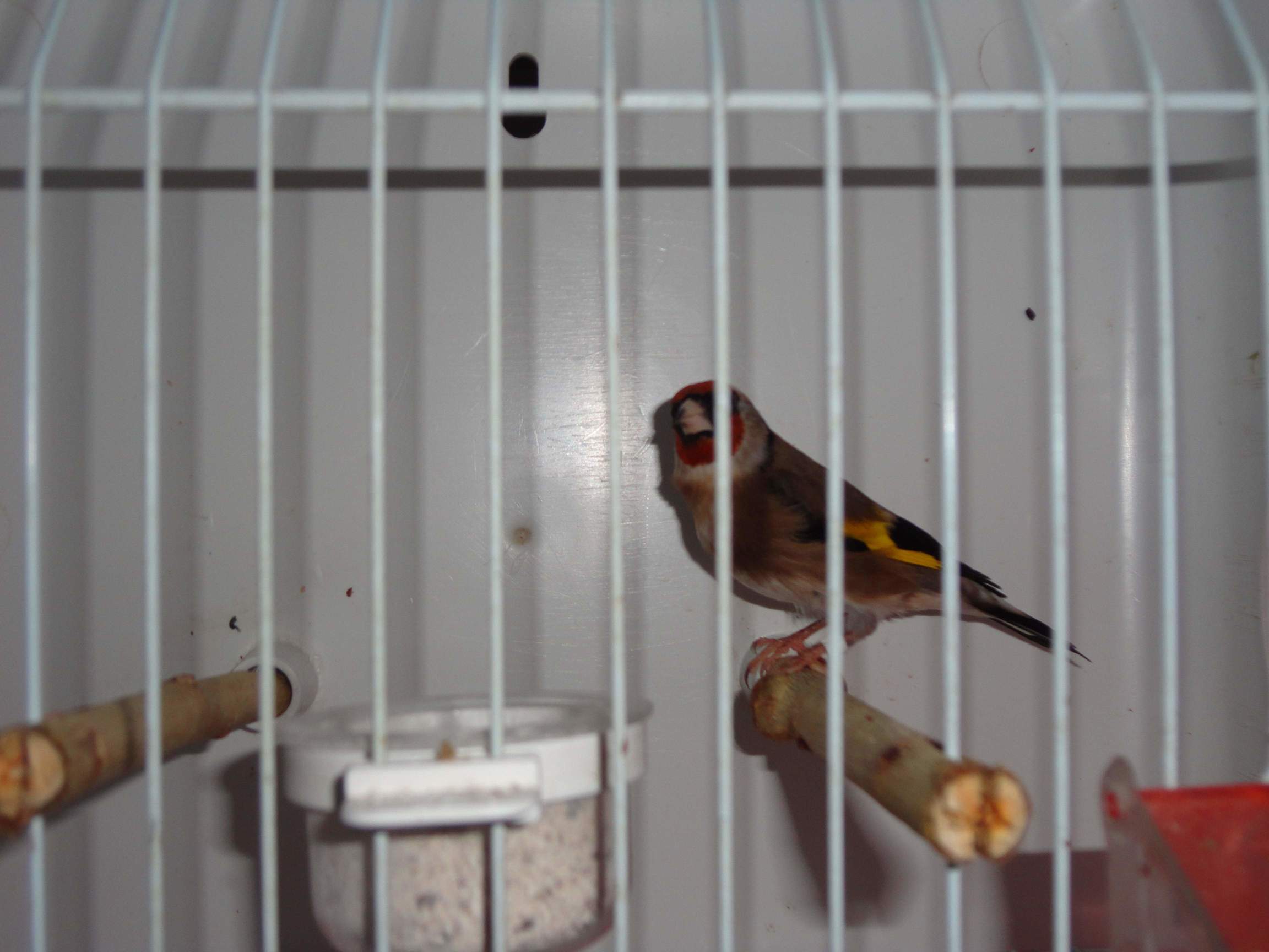 DSC00089.jpg