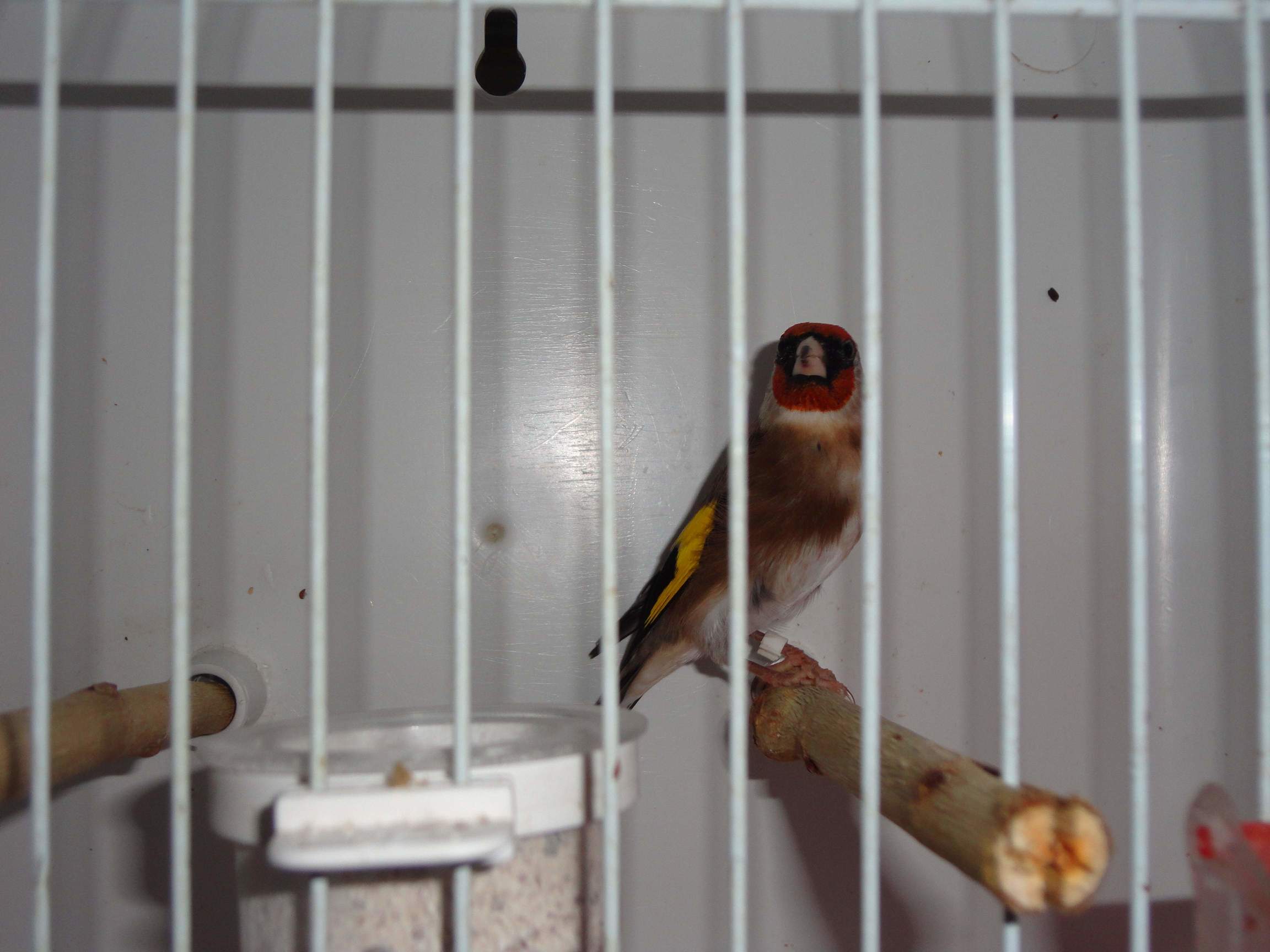 DSC00092.jpg