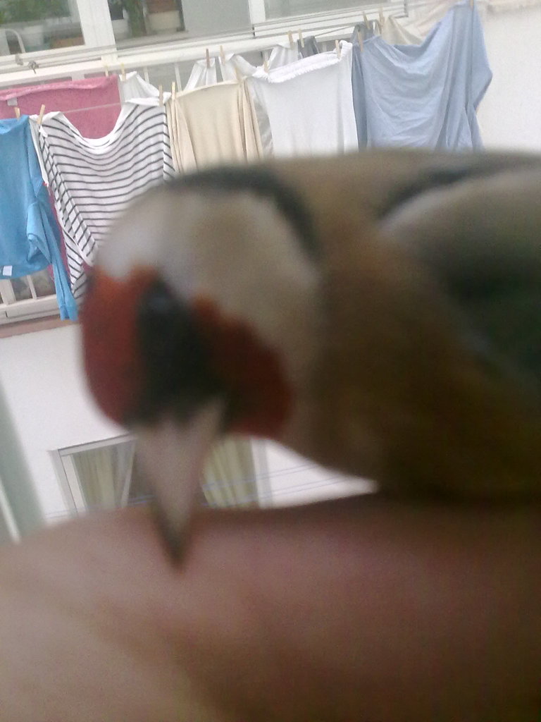 09122011781.jpg