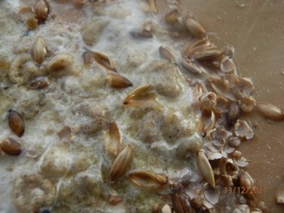 PC130186 (640 x 480).jpg