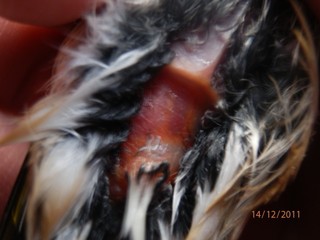 PC140189 (640 x 480).jpg