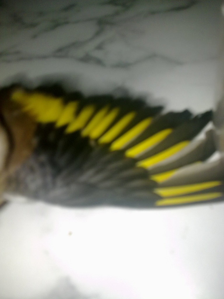 19122011830.jpg