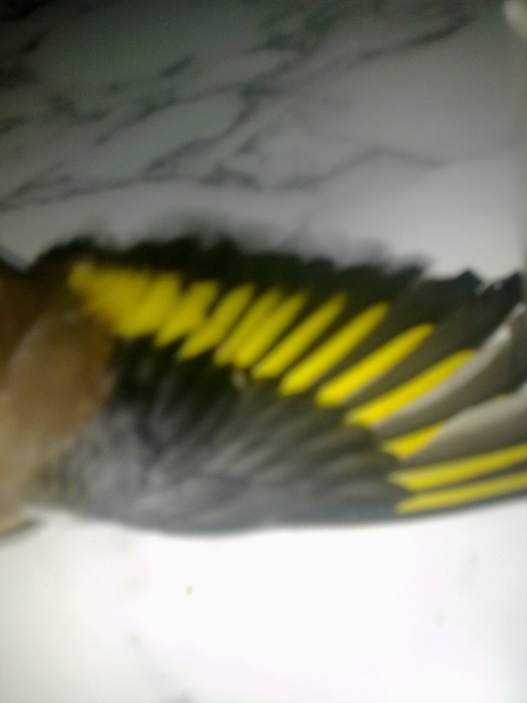 19122011829.jpg