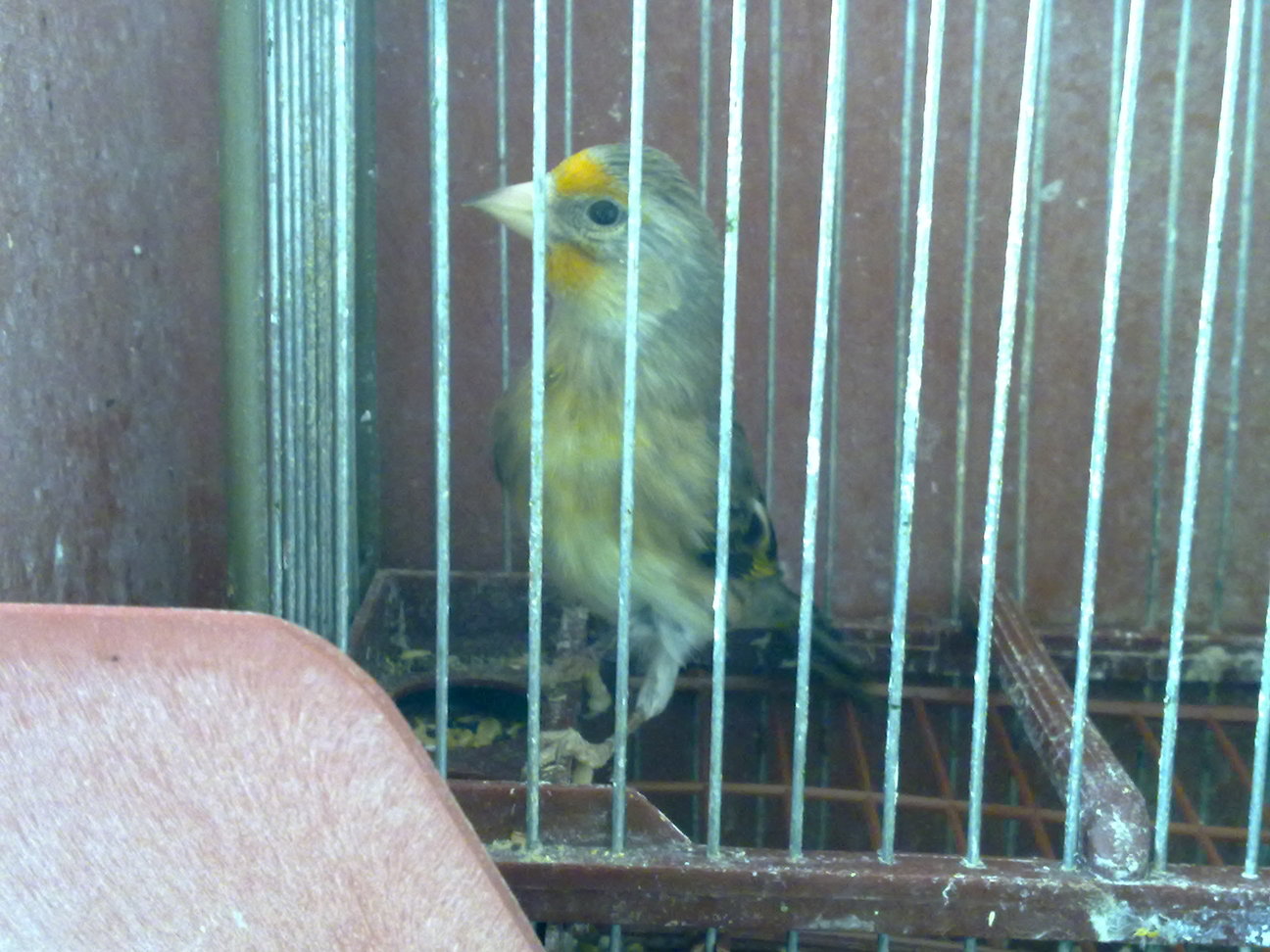 17112010066.jpg