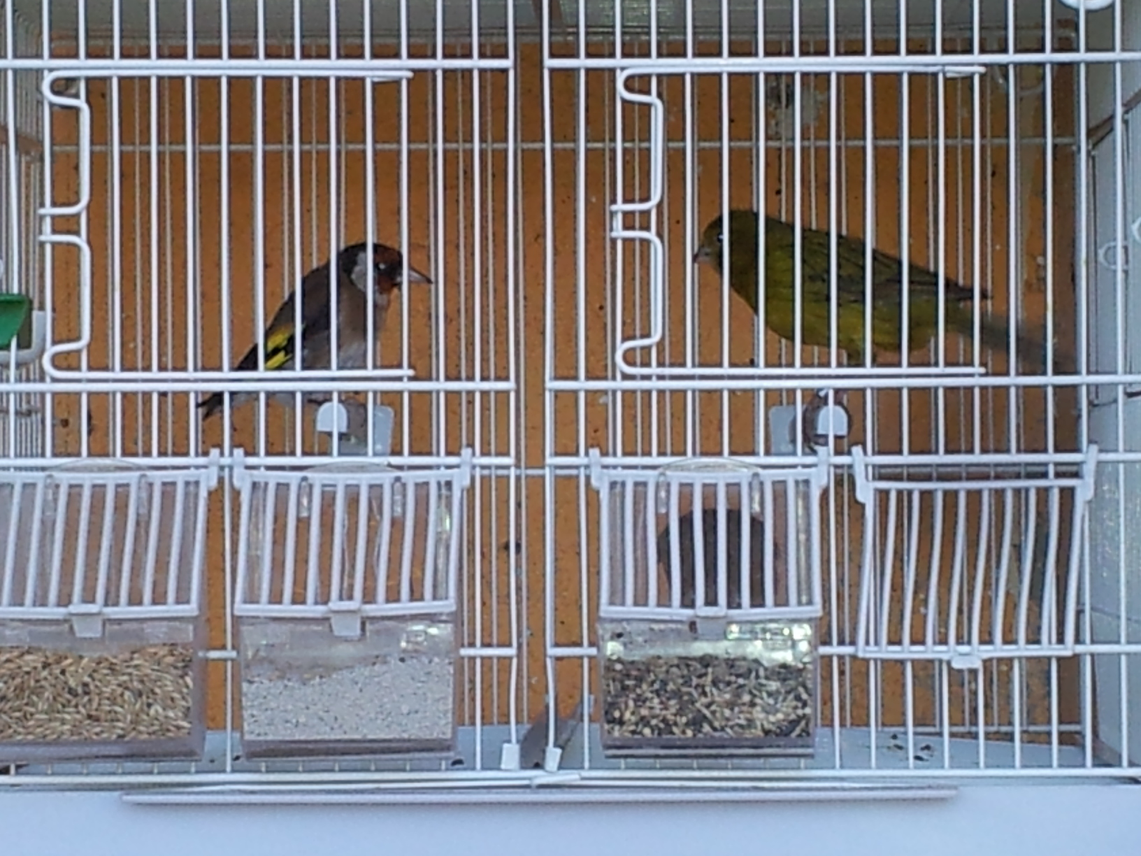 2011-12-21 15.56.07.jpg