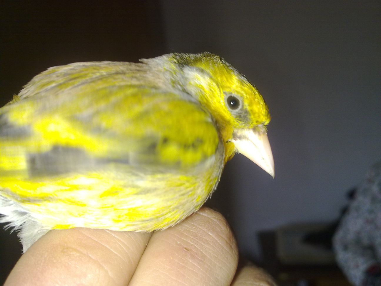22112010072.jpg