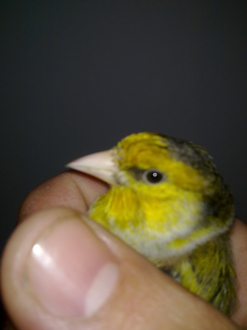 22112010074.jpg
