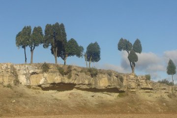 255010_153524211388165_153508588056394_349922_2371742_n.jpg