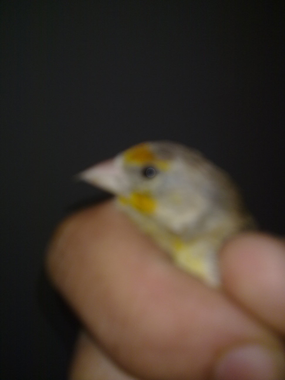 22112010078.jpg