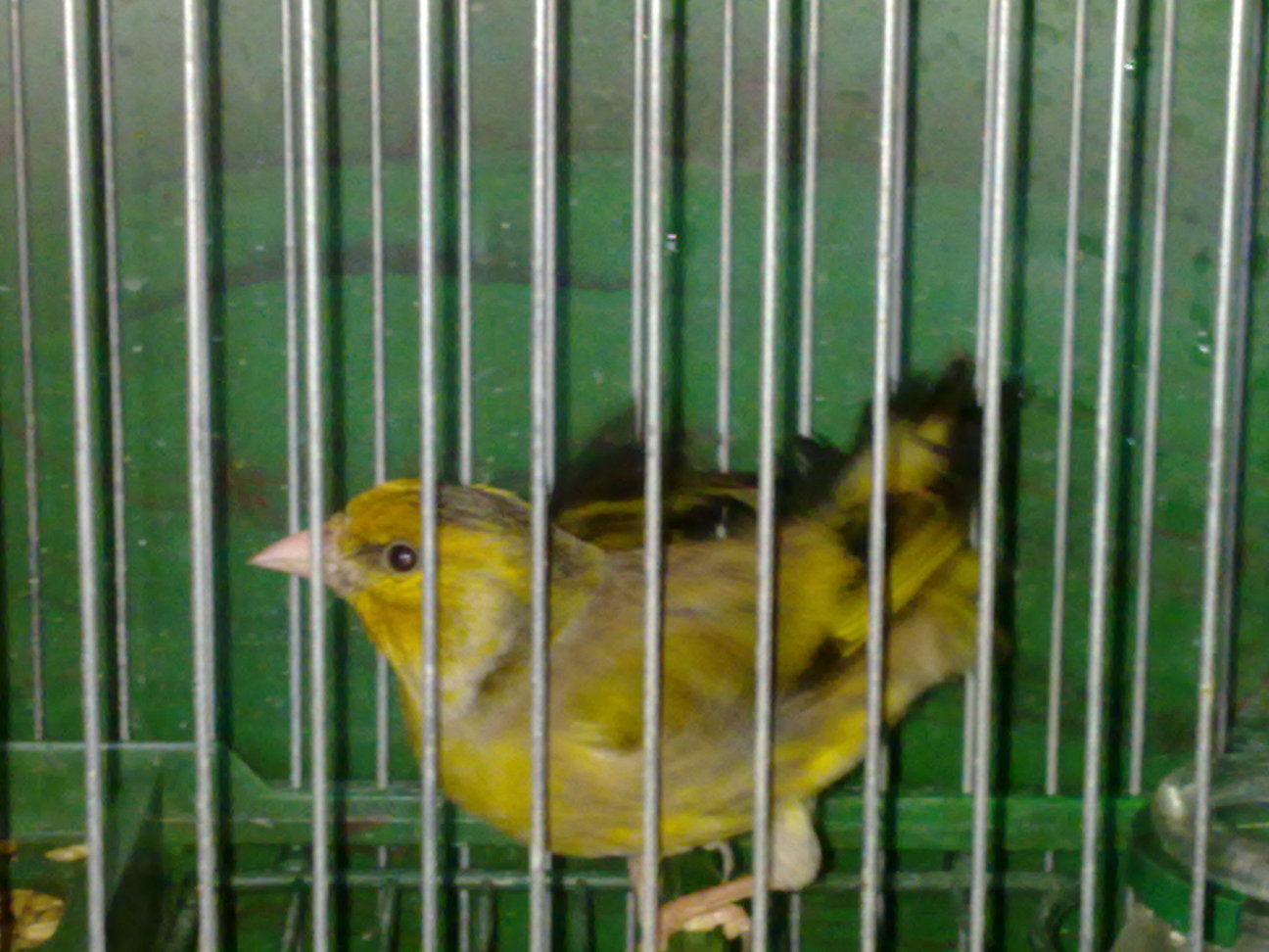 22112010081.jpg