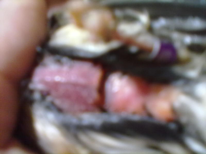 28122012115.jpg
