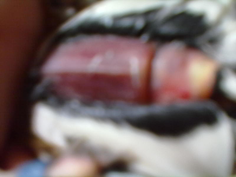 28122012114.jpg