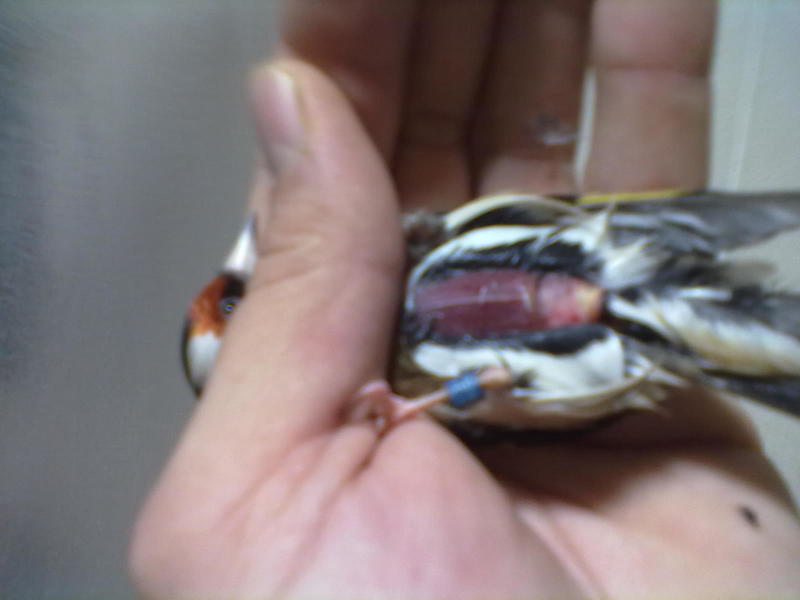 28122012113.jpg