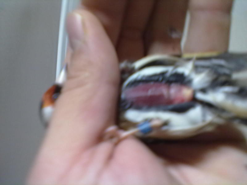 28122012112.jpg
