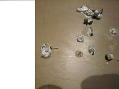 IMG_1975.JPG