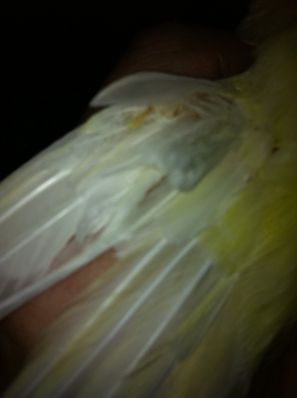 ImageUploadedByTapatalk1325372433.670450.jpg