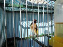 IMG_2021.JPG